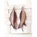 long leather feather earrings genuine leather jewelry 